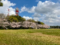 上座総合公園