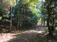 annai_iwana_crosscountry1