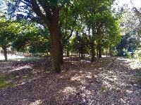 annai_iwana_crosscountry3