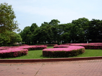 シンボル園